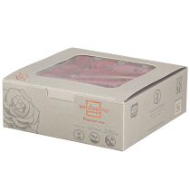 Itens Infinity Roses Flores Reais Mini Cabeças de Rosa Vermelhas Ø3cm 16 unidades