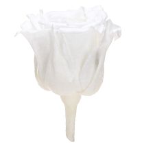 Itens Infinity Roses Cabeças de Rosas Reais Mini Rosas Brancas Ø3cm 16 unidades