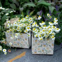 Itens Caixas para plantar, decoração de madeira, caixa decorativa com abelhas, decoração de primavera, shabby chic L15/12cm H10cm conjunto de 2