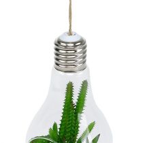 Itens Cactos em um copo para pendurar 21cm