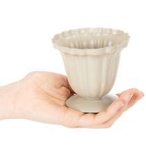 Itens Tigela decorativa, troféu cor creme, pequena, 10 cm