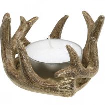 Castiçal castiçal chifre ouro A7cm Ø10cm 2uds