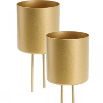 Itens Castiçal plug-in porta-velas dourado metal Ø5cm 4 unidades