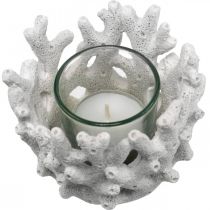 Lanterna com vidro em coral decoração marítima branca artificial Ø9.5cm 2pcs