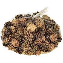 Itens Pinhas naturais pequenas pinhas decoração em rede 2,5-3,5cm 300g