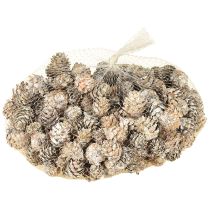 Itens Pinhas branqueadas, decoração de pinhas pequenas em rede, 2,5-3,5 cm, 500 g