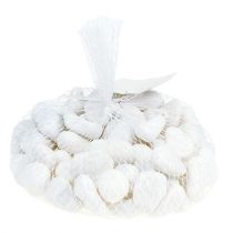 Itens Seixos na rede Branco 2,5cm - 4cm 1kg