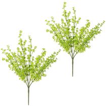 Itens Clover Dwarf Clover Plantas Artificiais em Verde em Pick 49cm 2pcs