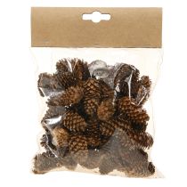 Itens Pequenos cones de cicuta decorativos cones naturais Advento 3-4cm 100g