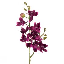 Itens Orquídea pequena Phalaenopsis flor artificial roxa escura 30cm