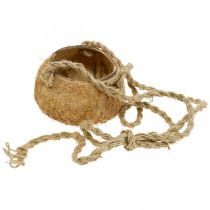 Itens Tigela de coco suspensa, tigela de planta natural, cesto suspenso Ø8cm L55cm