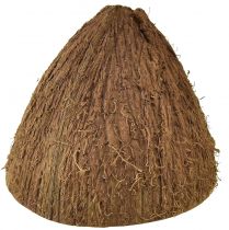 Itens Decoração de tigela de coco meio coco natural Ø7-9cm 5 unidades