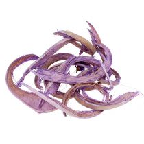Casca de coco roxo claro 400g