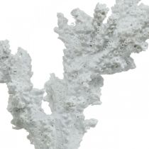 Decoração marítima coral branco suporte de decoração artificial 11×12cm
