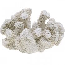 Decoração marítima coral branco poliresina artificial pequena 13,5x12 cm