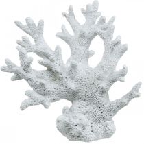 Decoração marítima coral branco decoração de verão 14,5×15cm