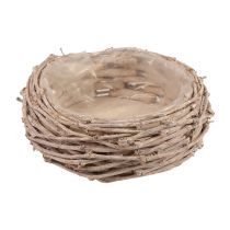 Cesto de vime para plantas lavado de branco Ø20cm Alt.10cm