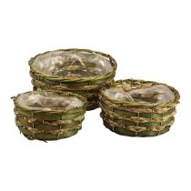 Cesto redondo para plantas cesto trançado madeira verde Ø26/21/18cm conjunto de 3