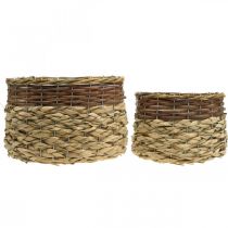 Itens Cesta de vime Natural Planta de vime Tigela Natural L30/22cm H20/17cm Conjunto de 2