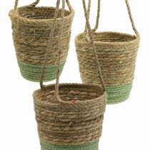 Itens Cesto suspenso, cesto natural, floreira para pendurar natural, verde Ø19/17/15cm conjunto de 3