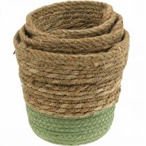 Itens Cesto suspenso, cesto natural, floreira para pendurar natural, verde Ø19/17/15cm conjunto de 3