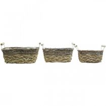 Itens Cesto para plantas com asas, cesto quadrado, floreira natural para plantar shabby chic lavado branco L30/25,5/21 cm H12/11/10 cm conjunto de 3