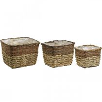 Itens Cesto de plantas, recipiente natural para plantio, vaso de flores quadrado natural L29.5/26/23cm H21/19/16cm conjunto de 3