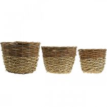 Itens Conjunto de 3 cestos redondos de vime natural para plantio, vasos decorativos Ø27/25/20cm, estilo rústico.