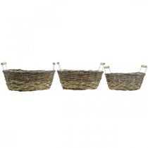 Itens Cesto natural para plantação, cesto com asas, floreira shabby chic lavada a branco L31/27.5/24cm H12/11.5/10cm conjunto de 3