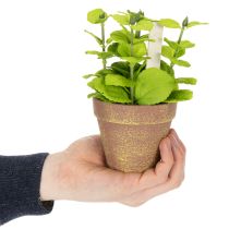 Itens Vaso artificial para ervas aromáticas com ervas decorativas para cozinha, jardim, varanda ou terraço, 15m³, 3 peças