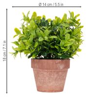 Itens Planta artificial em vaso com textura realista para uso e decoração de interiores, 18 cm, 3 peças.