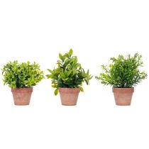 Itens Planta artificial em vaso com textura realista para uso e decoração de interiores, 18 cm, 3 peças.