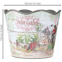 Itens Vaso de ervas vaso de flores plástico Fresh Garden H13.5cm 2 peças