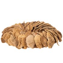 Itens Guirlanda de fungos em forma de árvore, cor natural, para decoração de porta ou parede, 37 cm