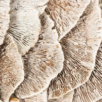 Itens Guirlanda de árvore de esponja natural para decoração 37cm