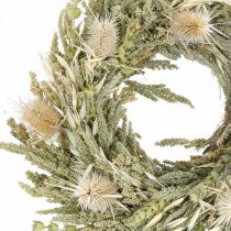 Coroa de flores secas cartão cardo grama grão Ø28cm