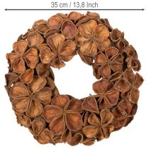 Itens Guirlanda de lótus seca, guirlanda decorativa para porta, 35 cm