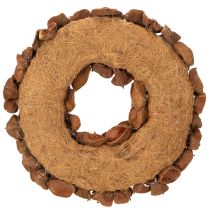 Itens Guirlanda de lótus seca, guirlanda decorativa para porta, 35 cm