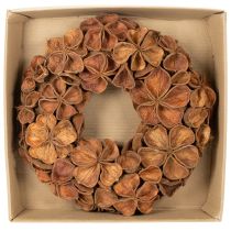 Itens Guirlanda de lótus seca, guirlanda decorativa para porta, 35 cm