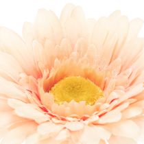 Itens Flores artificiais de gerbera cor damasco, 47 cm, pacote com 6 unidades.