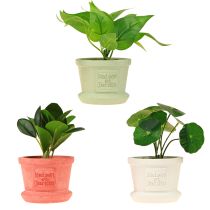 Itens Plantas verdes artificiais mini plantas em vaso 15 cm 3 unidades