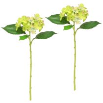Itens Hortênsias Artificiais Flores Verdes Folhas C43cm 2uns