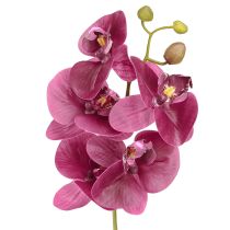Itens Orquídeas artificiais flores artificiais roxas como reais 56 cm 3 unidades