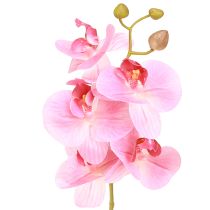 Itens Orquídeas artificiais flores artificiais rosas como reais 56cm 3 peças