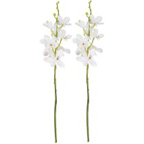 Itens Orquídeas artificiais flor branca Ø3,5–5cm C38cm 2 unidades
