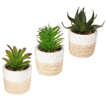 Itens Suculentas Artificiais em Vaso de Cerâmica 12,5cm 3pcs
