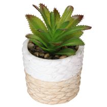 Itens Suculentas Artificiais em Vaso de Cerâmica 12,5cm 3pcs