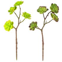Itens Suculentas artificiais com haste verde roxo sortidas 32cm 2 unidades