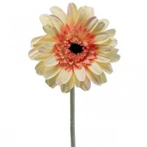 Itens Flor artificial gérbera flor artificial damasco Ø11cm L50cm