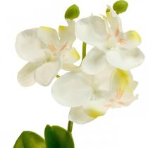 Orquídeas artificiais Orquídea flor artificial branca 20cm